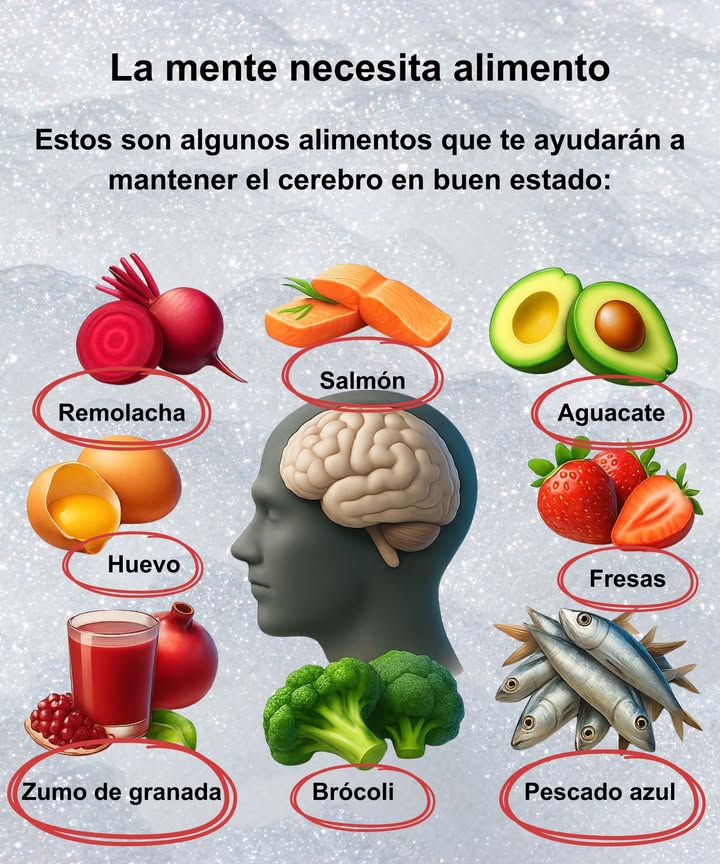 易 La mente también necesita nutrición
Alimentar tu cerebro es tan importante como cuidar tu cuerpo.  Algunos alimentos tienen un efecto directo en la salud mental y pueden mejorar la concentración, la memoria y el bienestar general.

 Remolacha: Rica en antioxidantes, mejora la circulación sanguínea hacia el cerebro.
 Salmón: Fuente de ácidos grasos omega-3, esenciales para la salud cerebral.
陋 Aguacate: Aporta grasas saludables que favorecen el buen funcionamiento del cerebro.
 Fresas: Ricas en vitamina C y antioxidantes, protegen las células cerebrales.
讀 Huevo: Contiene colina, clave para la memoria y las funciones cognitivas.
 Zumo de granada: Refuerza la memoria y la salud del cerebro.
復 Brócoli: Aporta vitamina K y antioxidantes que apoyan la salud mental.
 Pescado azul: Combate la inflamación cerebral y mejora la memoria.

 Consejo: Incluye estos alimentos en tu dieta para mantener tu cerebro sano y activo. Cuida tu mente alimentándola bien! 易

#Nutrición #SaludMental #CerebroSano