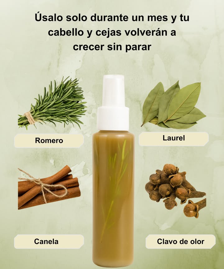 Con esta mezcla natural, mi cabello vuelve a crecer más fuerte y brillante 

El romero estimula la circulación y activa los folículos, el clavo revitaliza gracias a sus antioxidantes, el laurel refuerza y aporta brillo, mientras que la canela mejora la circulación sanguínea y promueve el crecimiento. 

Ingredientes:

– 2 ramitas de romero fresco o 2 cucharadas de romero seco
– 5 clavos enteros
– 3 hojas de laurel frescas o secas
– 1 ramita de canela o 1 cucharadita de polvo
– 2 tazas de agua

Preparación:

1. Lava bien el romero y las hojas de laurel.
2. En una olla, coloca el romero, los clavos, la canela y el laurel junto con las 2 tazas de agua.
3. Lleva a ebullición y deja hervir a fuego lento durante 12-15 minutos.
4. Apaga el fuego, cubre y deja reposar entre 25 y 30 minutos.
5. Filtra bien y guarda el líquido en una botella spray o recipiente hermético.

Aplicación:

Rocía la mezcla sobre el cuero cabelludo limpio, enfocándote en las raíces y áreas debilitadas. Masajea con movimientos circulares durante 5-10 minutos. Déjalo actuar por 1 hora antes de enjuagar o úsalo en pequeñas cantidades como tónico sin enjuague.

Frecuencia recomendada: 3 veces a la semana, preferiblemente por la noche.

Para obtener resultados efectivos: Guarda la mezcla en el refrigerador hasta por 5 días. Agita antes de cada uso. Sé constante durante al menos 4-6 semanas para notar un cabello más fuerte, con menos caída y nuevos brotes.