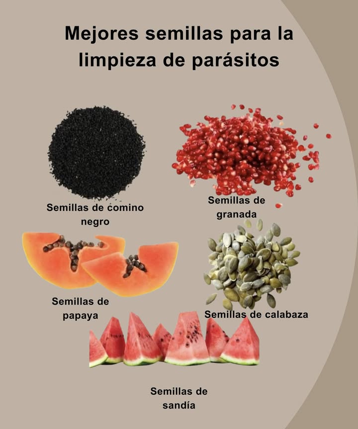 Semillas que apoyan una digestión más limpia y equilibrada
 Las semillas de comino negro se han utilizado tradicionalmente para aliviar molestias digestivas
 Las semillas de granada aportan antioxidantes y fibra natural
 Las semillas de papaya se han empleado en diversas culturas para favorecer el bienestar intestinal
 Las semillas de calabaza son ricas en nutrientes que apoyan la salud digestiva
 Las semillas de sandía hidratan y aportan minerales ligeros para el organismo

 Integrar semillas naturales en la dieta aporta fibra, micronutrientes y una sensación de ligereza desde dentro