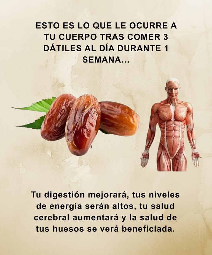 ESTO ES LO QUE LE OCURRE A TU CUERPO TRAS COMER 3 DÁTILES AL DÍA DURANTE 1 SEMANA

Tu digestión mejorará, tus niveles de energía serán altos, tu salud cerebral aumentará y la salud de tus huesos se verá beneficiada.