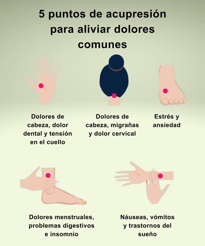 Alivio natural con acupresión

 Mano  Punto LI4
Ayuda con dolores de cabeza, molestias dentales y tensión en el cuello.

 Nuca  Punto Feng Fu
Alivia migrañas, presión acumulada y dolor cervical.

 Pie  Punto LV3
Favorece la calma emocional y reduce el estrés y la ansiedad.

 Tobillo  Punto SP6
Útil para dolores menstruales, digestivos y dificultades para dormir.

 Muñeca  Punto P6
Reduce náuseas, vómitos y mejora la calidad del sueño.

 Técnicas suaves que aportan bienestar de forma sencilla y natural.