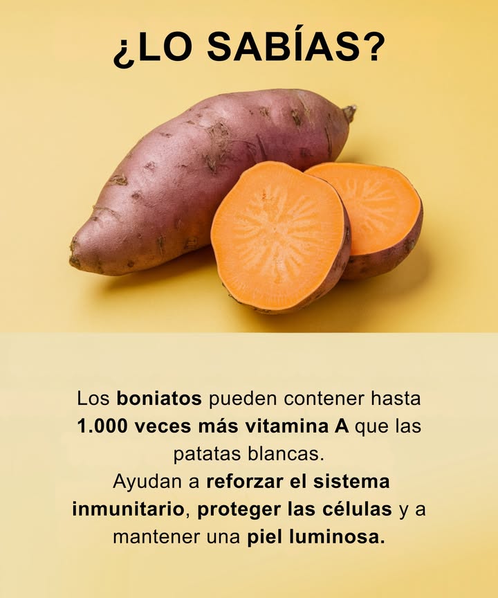 The El poder de las batatas: el combustible dorado de la naturaleza. 
Las batatas están cargadas de nutrientes que fortalecen su cuerpo y protegen sus células.
Contienen hasta 1000 veces más vitamina A que las papas normales, un nutriente que aumenta la inmunidad, apoya la visión y repara los tejidos. 
El secreto radica en el betacaroteno, un antioxidante natural que retrasa el envejecimiento y reduce el riesgo de enfermedades cardíacas y cáncer, según estudios de Harvard y los NIH.
Agréguelos a sus comidas, horneadas, trituradas o asadas, y no solo comerá por gusto, sino por vitalidad. 
#SweetPotatoPower #Antioxidantes #VitaminA