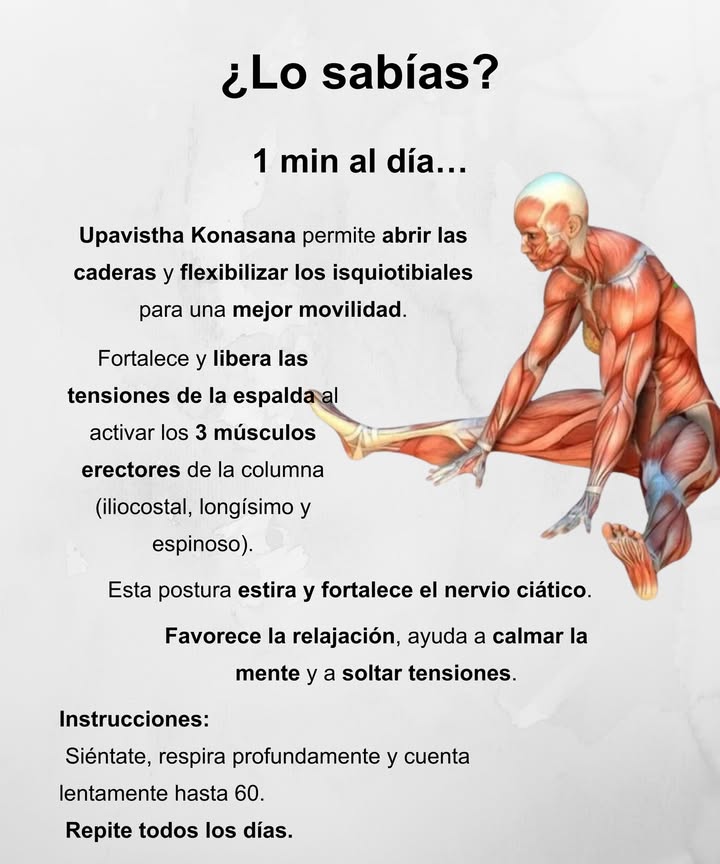 律 1 min al día

Upavistha Konasana ayuda a abrir las caderas y flexibilizar los isquiotibiales para mejorar la movilidad.

Fortalece y libera las tensiones de la espalda al activar los 3 músculos erectores de la columna iliocostal, longísimo y espinoso.

Esta postura estira y fortalece el nervio ciático, favorece la relajación, calma la mente y ayuda a soltar tensiones.

 Instrucciones:
Siéntate, respira profundamente y cuenta lentamente hasta 60.
Repite todos los días.