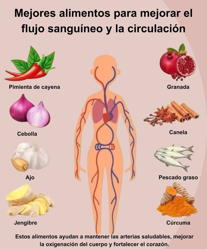 Alimentos que favorecen la circulación y fortalecen el corazón

 Pimienta de cayena  activa la circulación y mejora el flujo sanguíneo.
暈 Cebolla  ayuda a reducir la presión arterial y limpia las arterias.
龍 Ajo  potente vasodilatador natural, mejora la oxigenación.
 Jengibre  estimula la circulación y combate la inflamación.
 Granada  rica en antioxidantes que protegen los vasos sanguíneos.
 Canela  regula el colesterol y promueve una buena circulación.
 Pescado graso  fuente de omega-3, fortalece el sistema cardiovascular.
 Cúrcuma  mejora la elasticidad de las arterias y reduce la inflamación.

 Mantener una dieta rica en estos alimentos ayuda a cuidar el corazón y mantener la energía del cuerpo en equilibrio.