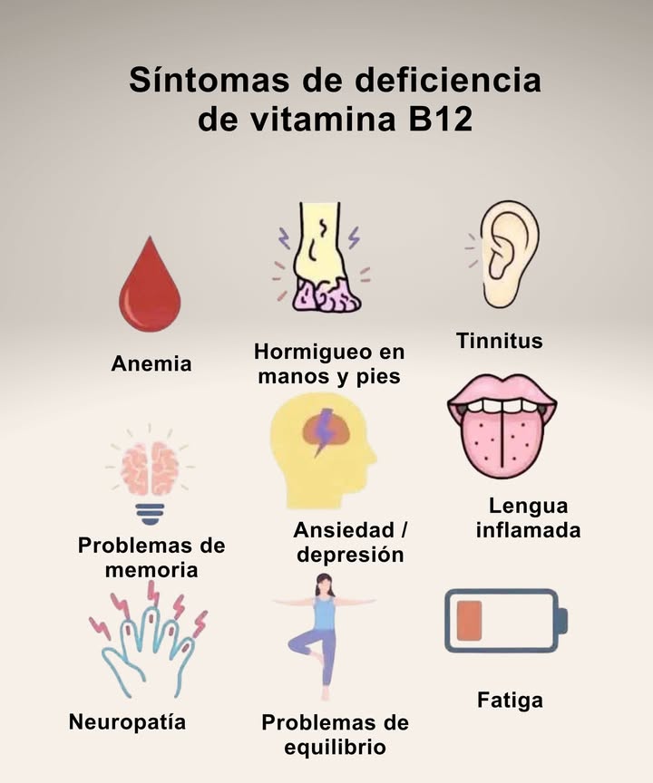 Síntomas de Deficiencia de Vitamina B12

 Anemia y palidez persistente
 Hormigueo en manos y pies
 Tinnitus y ruidos en los oídos
 Lengua inflamada o dolorosa
 Problemas de memoria
 Ansiedad o depresión
 Neuropatía y sensación de corriente en extremidades
 Problemas de equilibrio al caminar
 Fatiga intensa y falta de energía