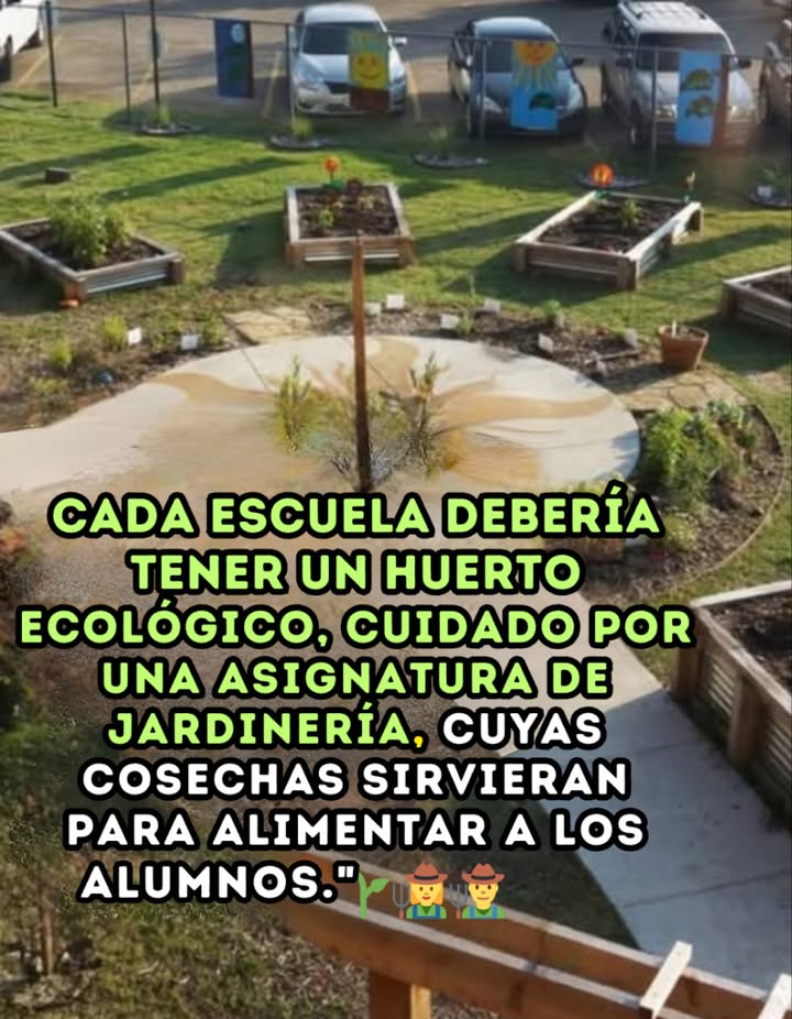 Un huerto en cada escuela Imagina que cada escuela tuviera su propio huerto ecológico, cuidado por los estudiantes como parte de una asignatura de jardinería. 凌 Las cosechas no solo enseñarían el valor del trabajo y el cuidado de la tierra, sino que también servirían para alimentar de manera saludable a los alumnos. Una iniciativa que educa, nutre y conecta con la naturaleza. #HuertoEscolar #EducacionSostenible #EcologiaEnLasEscuelas