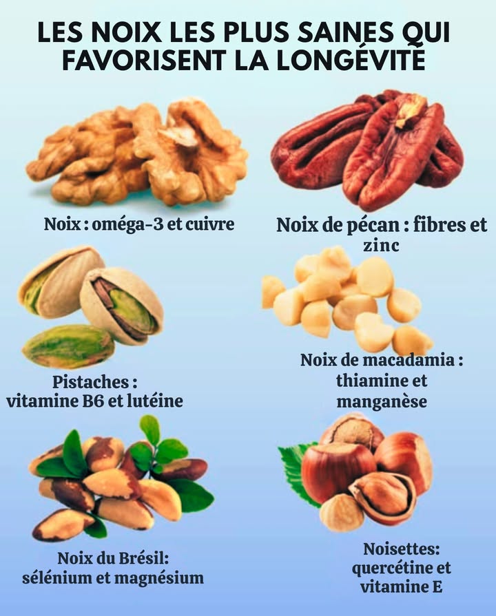 Des fruits secs qui soutiennent la longévité Noix : riches en oméga-3 et en cuivre Noix de pécan : fontaine de fibres et de zinc Pistaches : apport de la vitamine B6 et de la lutéine Macadamias : ils se distinguent par leur thiamine et manganèse Noix du Brésil : très élevées en sélénium et en magnésium Noisettes : contiennent de la quercétine et de la vitamine E