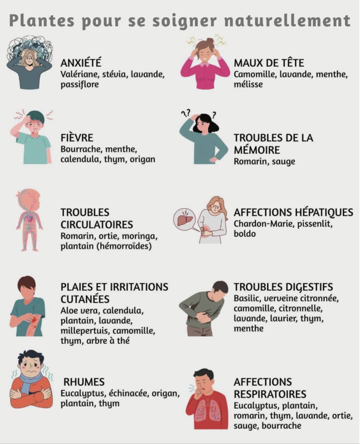 Plantes pour se soigner naturellement

 Maux de tête
Camomille, lavande, menthe, mélisse

 Anxiété
Valériane, stévia, lavande, passiflore

喝 Troubles circulatoires
Romarin, ortie, moringa, plantain hémorroïdes

 Fièvre
Bourrache, menthe, calendula, thym, origan

蠟 Rhumes
Eucalyptus, échinacée, origan, plantain, thym

 Affections respiratoires
Eucalyptus, plantain, romarin, thym, lavande, ortie, sauge, bourrache

易 Troubles de la mémoire
Romarin, sauge

 Affections hépatiques
Chardon-Marie, pissenlit, boldo

 Plaies et irritations cutanées
Aloe vera, calendula, plantain, lavande, millepertuis, camomille, thym, arbre à thé

北 Troubles digestifs
Basilic, verveine citronnée, camomille, citronnelle, lavande, laurier, thym, menthe

 Ces plantes médicinales favorisent léquilibre intérieur, soutiennent le bien-être général et renforcent naturellement les défenses du corps.