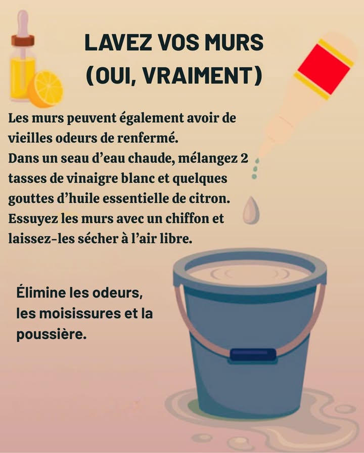 Nettoyez vos murs ! 識