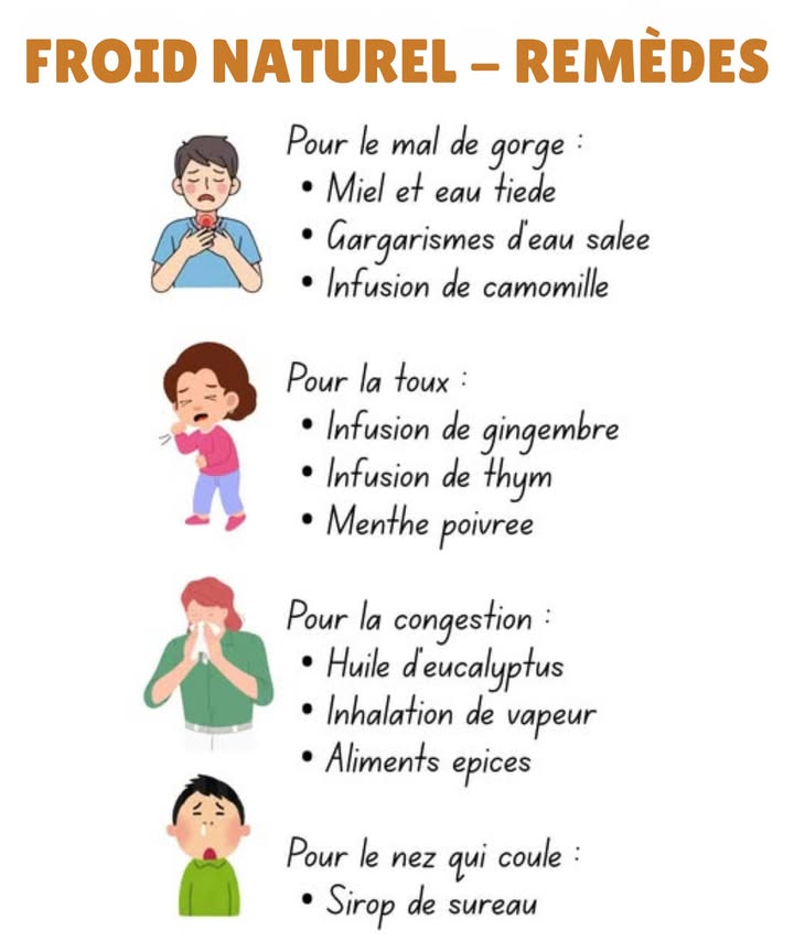 蠟 Guide pratique : Remèdes naturels contre le rhume
Symptômes courants :
 Mal de gorge : irritation qui rend la déglutition difficile
 Toux : sèche ou productive avec mucus
 Congestion nasale : narines enflammées et bouchées
 Nez qui coule : mécanisme naturel délimination du virus
 Fatigue : épuisement dû à la lutte du corps contre linfection
 Pour le mal de gorge :
 Miel dans de leau tiède  apaise et adoucit la gorge
 Gargarisme deau salée   c. à café de sel dans un verre deau tiède
 Infusion de camomille  5 min dinfusion, avec un peu de miel
 Pour la toux :
 Thé de gingembre  faire bouillir des tranches de gingembre 15 min
 Infusion de thym  1 c. à café dans de leau chaude, 10 min
 Menthe  en infusion ou en inhalation avec huile essentielle
 Pour la congestion :
 Huile deucalyptus  quelques gouttes dans de leau chaude en inhalation
 Vapeur  respirer au-dessus dun bol deau chaude sous une serviette
 Aliments épicés  piment, gingembre, wasabi pour libérer les voies nasales
 Pour le nez qui coule :
 Sirop de sureau sureau noir  riche en antioxydants et immunostimulant
 Lait au curcuma  1 c. à café dans un verre de lait chaud, avant de dormir
 Pour la fatigue :
 Thé de ginseng  infusion de 10 à 15 min
 Alimentation équilibrée  protéines maigres, fruits, légumes, céréales complètes
 Hydratation régulière  au moins 8 verres deau par jour
 Prévention :
 Aliments renforçant limmunité : agrumes, fruits rouges, ail, gingembre
 Suppléments : vitamines C, D et zinc
 Mode de vie sain : sommeil suffisant, relaxation et exercice régulier
 Des gestes simples et naturels pour apaiser les symptômes et renforcer lorganisme.