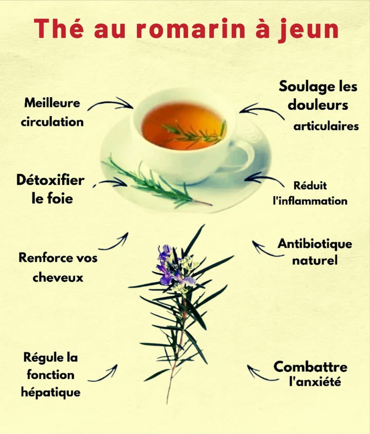 Recette facile de tisane au romarin 

1 Faites bouillir une tasse deau, de préférence filtrée pour préserver les saveurs.

2 Ajoutez une cuillère à café de romarin séché ou quelques brins de romarin frais bien lavés.

3 Laissez mijoter doucement pendant une minute pour libérer les huiles essentielles de la plante.

4 Retirez du feu et couvrez la tasse pour conserver toutes les propriétés, puis laissez infuser entre cinq et dix minutes selon lintensité désirée.

5 Filtrez le mélange, ajoutez un peu de miel ou une tranche de citron pour adoucir le goût, et savourez une boisson réconfortante.

 Cette tisane est souvent prisée pour améliorer la digestion, booster la concentration et offrir une douce chaleur durant lhiver.