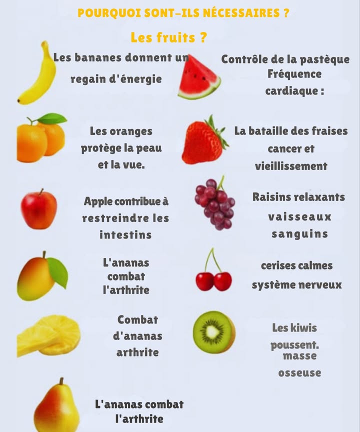 Pourquoi les fruits sont-ils importants ? 
Les fruits sont de vrais remèdes naturels ! Voyez comment chacun peut profiter à votre santé :
 Bananes – Offrez un boost dénergie instantané.
 Pastèque – Aide à réguler les battements cardiaques.
 Oranges – Protégez la peau et la vision.
 Fraises – Combattez le vieillissement et même le cancer.
 Pommes – Renforce le système immunitaire.
 Raisins – Ils détendent les vaisseaux sanguins et aident à la circulation.
Les mangues – Elles peuvent aider à prévenir le cancer.
 Cerises – calme le système nerveux.
 Ananas – Le sida dans la lutte contre larthrite.
諾 Kiwi – Contribue au renforcement des os.
綾 Incluez plus de fruits dans votre quotidien et ressentez la différence dans votre santé !