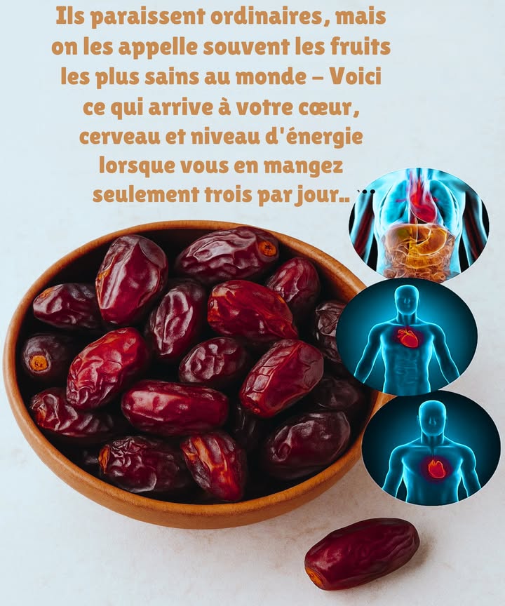 Consommer trois dattes par jour, un secret naturel pour booster votre vitalité ! Pleines de fibres, minéraux et antioxydants, elles favorisent la santé cardiaque, stimulent le cerveau et augmentent votre énergie quotidiennement.
