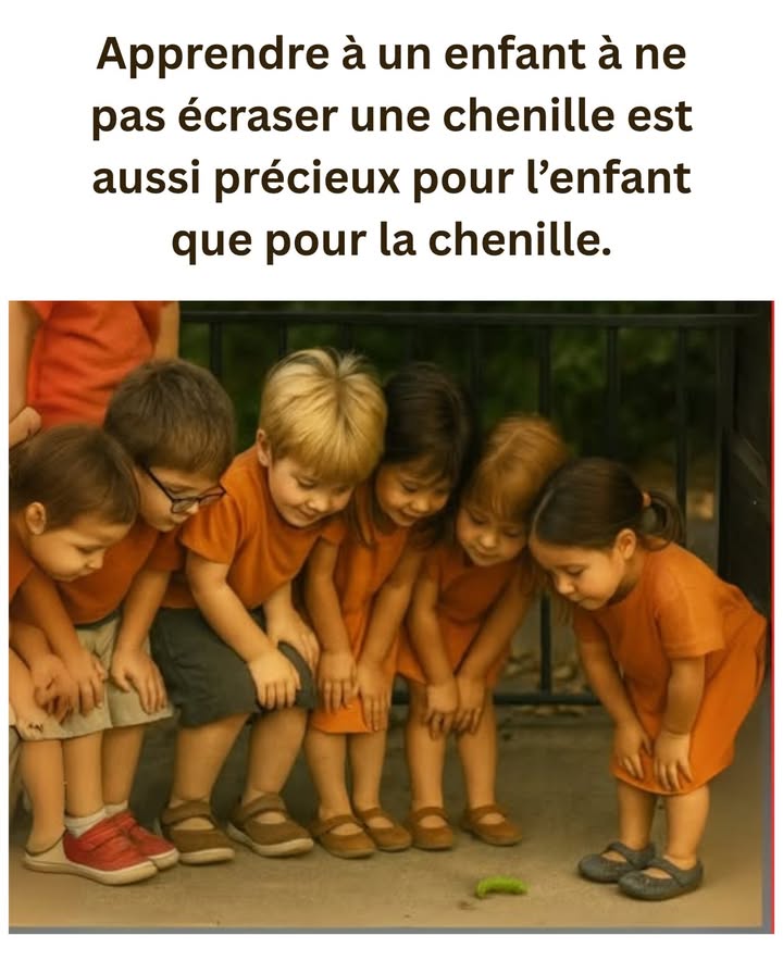 Éduquer au respect de la vie dès lenfance 

Apprendre aux enfants à observer et protéger les plus petits êtres, comme les chenilles, développe leur empathie, leur sens des responsabilités et leur connexion avec la nature.
Ce geste simple éveille en eux un profond respect pour toute forme de vie et leur fait comprendre la valeur de chaque espèce dans léquilibre de lécosystème.

 Chaque petit geste compte
Protéger une chenille, cest sauver un futur papillon, mais aussi cultiver une sensibilité qui les accompagnera toute leur vie.
Éduquer à la compassion dès le plus jeune âge, cest planter les graines dun monde plus conscient et bienveillant. 曆

#ÉduquerAuRespect #ProtectionDeLaNature #PrenonsSoinDesChenilles