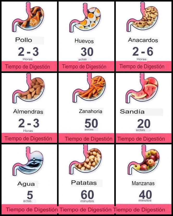 Tiempo de Digestión de los Alimentos
El tiempo que tarda el cuerpo en digerir los alimentos varía según el tipo de alimento, su composición y la salud digestiva de cada persona. A continuación se presenta un desglose aproximado del tiempo de digestión de diferentes alimentos:
 Frutas y Verduras
 Frutas acuosas sandía, melón: 20-30 minutos.
 Frutas no ácidas manzanas, peras, uvas: 30-40 minutos.
 Frutas cítricas y ácidas naranjas, kiwis, fresas: 30-40 minutos.
 Verduras crudas lechuga, pepino, espinacas: 30-40 minutos.
 Verduras cocidas zanahorias, brócoli, coliflor: 40-50 minutos.
稜 Carbohidratos
 Arroz blanco, pasta, pan blanco: 1-2 horas.
 Cereales integrales avena, arroz integral, quinoa: 2 horas.
 Patatas y tubérculos: 1.5-2 horas.
 Proteínas
 Huevos: 30-45 minutos.
 Pescado blanco: 30 minutos.
 Pescado graso salmón, atún: 45-60 minutos.
 Pollo sin piel: 1.5-2 horas.
 Carne roja: 3-4 horas.
 Legumbres lentejas, garbanzos, frijoles: 2-3 horas.
燎 Lácteos
 Leche y yogur: 1-2 horas.
 Quesos blandos: 2 horas.
 Quesos duros: 4-5 horas.
樂 Frutos Secos y Semillas
 Frutos secos almendras, nueces: 2-3 horas.
 Semillas chía, linaza: 2 horas.
 Grasas y Aceites
 Aceite de oliva, aceite de coco: 30 minutos.
 Grasas saturadas mantequilla, margarina: 2-3 horas.
 Bebidas
 Agua: Pasa casi de inmediato al intestino.
 Jugo de frutas: 15-30 minutos.
 Bebidas con cafeína café, té: 30-45 minutos.
 Factores que Afectan el Tiempo de Digestión:
 Cantidad de alimentos consumidos: Comidas abundantes tardan más en digerirse.
 Combinación de alimentos: Mezclar proteínas con carbohidratos o grasas puede ralentizar la digestión.
 Nivel de actividad física: El ejercicio moderado ayuda a agilizar la digestión.
 Salud digestiva: Problemas como el reflujo, el síndrome del intestino irritable SII o la gastritis pueden alterar los tiempos de digestión.
 Consejos para Mejorar la Digestión:
 Comer despacio y masticar bien los alimentos.
 Evitar comer en exceso.
 Beber suficiente agua a lo largo del día.
 Incluir alimentos ricos en fibra en la dieta.
 Mantenerse activo con caminatas suaves después de las comidas.
Conocer el tiempo de digestión de los alimentos puede ayudarte a planificar mejor tus comidas y mantener una digestión saludable.