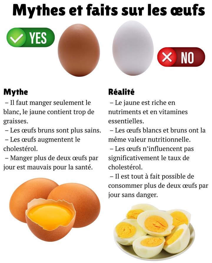 Mythes et faits sur les œufs