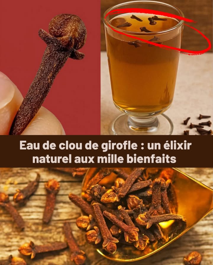 Eau de clou de girofle : un élixir naturel aux mille bienfaits 

1 Favorise la digestion : active les enzymes, soulage les gaz et la lourdeur.
2 Protège la bouche : antibactérienne, combat la mauvaise haleine et apaise les gencives irritées.
3 Renforce les défenses : riche en antioxydants, elle réduit linflammation.
4 Soutient les voies respiratoires : expectorante et apaisante pour la toux et la gorge.
5 Embellit la peau : aide à lutter contre lacné et les points noirs.
6 Régule la glycémie : contribue à stabiliser le taux de sucre dans le sang.
7 Soulage les articulations : apaise la douleur et linflammation en cas darthrite.
8 Aide à contrôler le poids : stimule le métabolisme et réduit lappétit.

 Préparation simple
 Faites tremper 2 à 3 clous de girofle dans de leau toute la nuit, filtrez et buvez à jeun.
 Pour un effet plus concentré, faites-les bouillir, laissez refroidir et consommez.

Un remède traditionnel facile à préparer qui apporte santé et vitalité au quotidien.