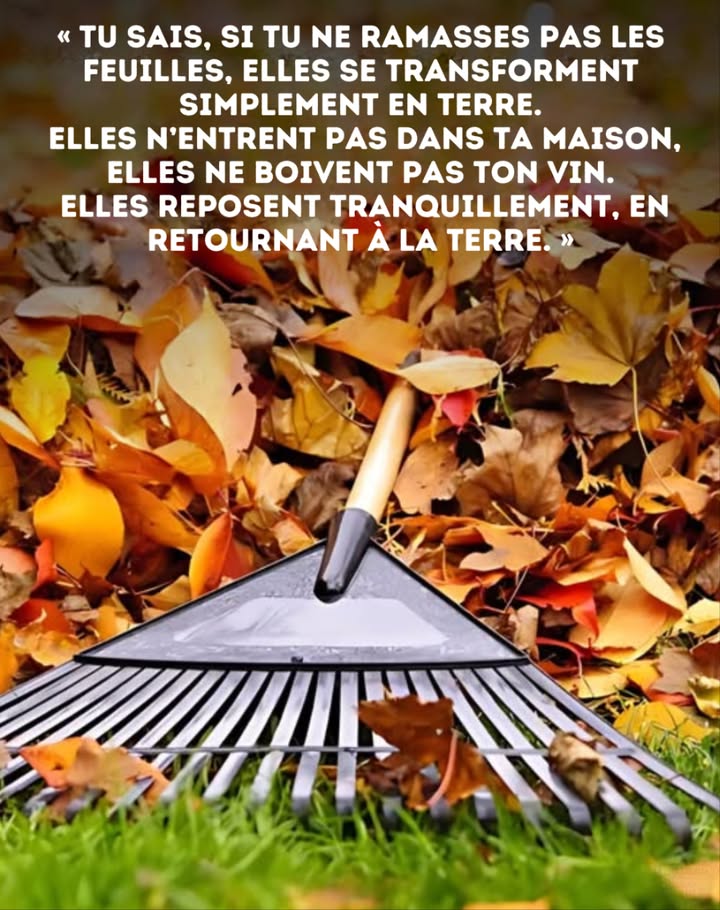 Les feuilles tombées ne sont pas des déchets. Elles sont le paillis naturel de la nature : elles se décomposent pour nourrir le sol, abritent les insectes en hiver et alimentent les plantes au printemps suivant.
Au lieu de tout ramasser, laissez-en une couche sous les arbres, dans les massifs ou dans un coin du jardin. Vous gagnerez du temps, protégerez la faune et enrichirez votre sol gratuitement.