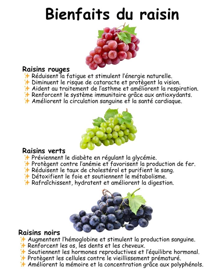 Bienfaits complets du raisin  un trésor pour la santé 

 Raisins rouges
 Réduisent la fatigue et apportent une énergie naturelle durable.
 Diminuent le risque de cataracte et protègent la santé oculaire.
 Aident à soulager les symptômes de lasthme et facilitent la respiration.
 Améliorent la circulation sanguine et préviennent les maladies cardiovasculaires.
 Renforcent le système immunitaire grâce à leur richesse en antioxydants.
 Favorisent une peau éclatante et préviennent le vieillissement cutané.
 Aident à réguler la tension artérielle et soutiennent le cœur.
 Détoxifient lorganisme et stimulent les reins.
 Réduisent le stress oxydatif et les inflammations internes.
 Soutiennent la santé du foie et la récupération après leffort.

 Raisins verts
 Préviennent le diabète en régulant les niveaux de sucre dans le sang.
 Protègent contre lanémie et favorisent la production de globules rouges.
 Réduisent le cholestérol et nettoient les vaisseaux sanguins.
 Détoxifient le foie et aident à éliminer les toxines.
 Améliorent la digestion et préviennent les ballonnements.
 Hydratent le corps et apportent une sensation de fraîcheur naturelle.
 Soutiennent le métabolisme et la perte de poids.
 Favorisent la santé dentaire grâce à leurs composés antibactériens.
 Aident à réduire la fatigue mentale et à améliorer la concentration.
 Protègent la peau contre les radicaux libres et les agressions extérieures.

 Raisins noirs
 Augmentent lhémoglobine et favorisent une bonne oxygénation du corps.
 Fortifient les os, les dents et les cheveux grâce au calcium et au fer.
 Soutiennent les hormones reproductives et léquilibre hormonal naturel.
 Améliorent la mémoire, la concentration et la santé du cerveau.
 Protègent les cellules contre le vieillissement prématuré.
 Favorisent une peau jeune et lumineuse.
 Réduisent les inflammations articulaires et musculaires.
 Aident à réguler la pression artérielle et à prévenir les caillots sanguins.
 Soutiennent la santé du foie et la détoxification naturelle.
 Apaisent le système nerveux et favorisent un sommeil réparateur.

 Le raisin, sous toutes ses couleurs, est un aliment complet : antioxydant, hydratant et revitalisant  un allié précieux pour le cœur, la peau, le cerveau et la longévité.