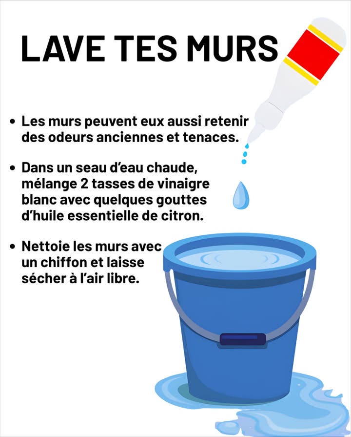 什 Lave tes murs
Élimine les mauvaises odeurs, la moisissure légère et la poussière.