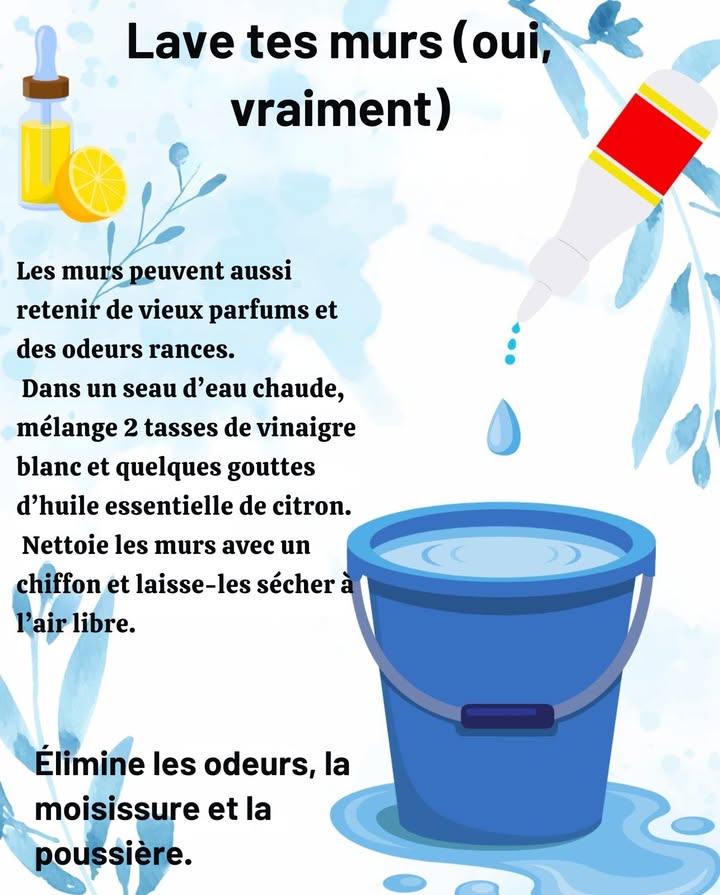 Lave tes murs oui, vraiment