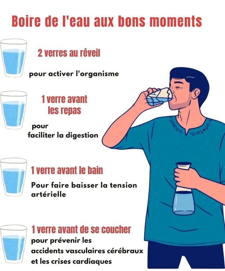 Leau, un geste vital au bon moment 

拏 2 verres au réveil  réactivent les organes internes et relancent le métabolisme après le jeûne nocturne.
拏 1 verre avant chaque repas  favorise la digestion, prépare lestomac et aide à contrôler lappétit.
拏 1 verre avant la douche  stimule la circulation sanguine et stabilise la pression artérielle.
拏 1 verre avant de dormir  soutient la régénération cellulaire, prévient la déshydratation nocturne et réduit les risques daccident vasculaire cérébral ou cardiaque.

 Lhydratation régulière permet aussi daméliorer la concentration, la qualité de la peau et le fonctionnement des reins. Boire de leau aux bons moments nest pas un simple réflexe : cest une véritable habitude de longévité.