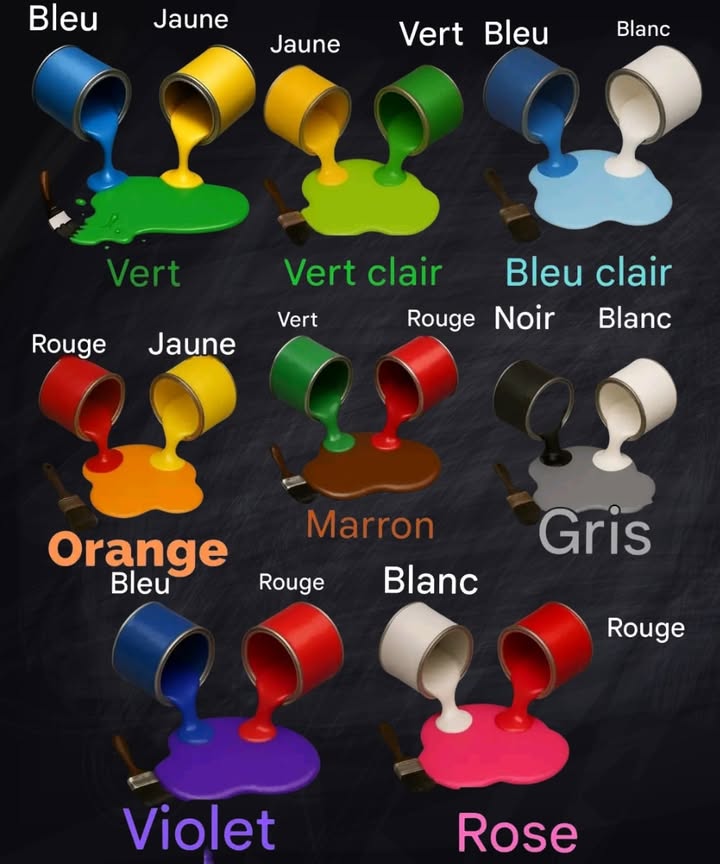Mélange de Couleurs Facile à Comprendre 

Apprendre à créer de nouvelles teintes devient simple avec ces associations de base :

 Bleu  Jaune = Vert
 Vert  Jaune = Vert clair
 Bleu  Blanc = Bleu clair
 Rouge  Jaune = Orange
 Vert  Rouge = Marron
 Noir  Blanc = Gris
 Bleu  Rouge = Violet
 Blanc  Rouge = Rose

Un guide visuel pratique pour reconnaître comment les couleurs se transforment lorsquon les mélange.