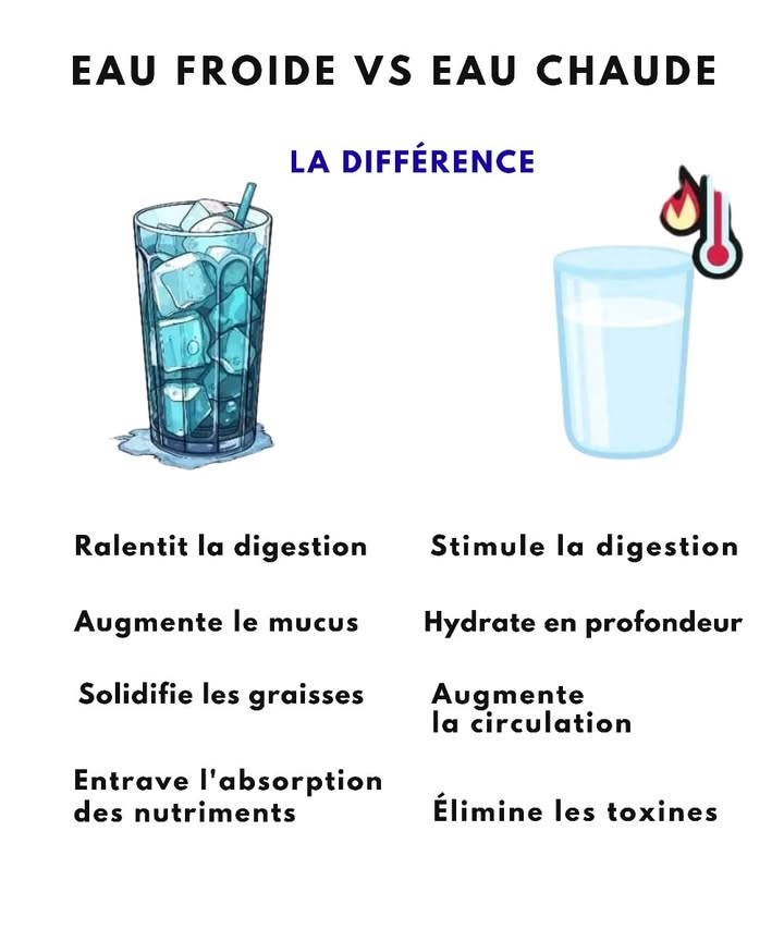 Eau froide VS Eau chaude 
1 Eau froide 
 Ralentit la digestion et peut donner une sensation de lourdeur 
 Augmente la production de mucus, ce qui gêne parfois la respiration 蠟
 Solidifie les graisses et ralentit leur élimination 杻
 Entrave labsorption des nutriments essentiels 
2 Eau chaude 
 Stimule la digestion et soulage lestomac après les repas 
 Hydrate en profondeur et garde le corps équilibré 
 Augmente la circulation sanguine et apporte plus dénergie 
 Aide à éliminer les toxines et soutient le bon fonctionnement des reins 
#fblifestyle