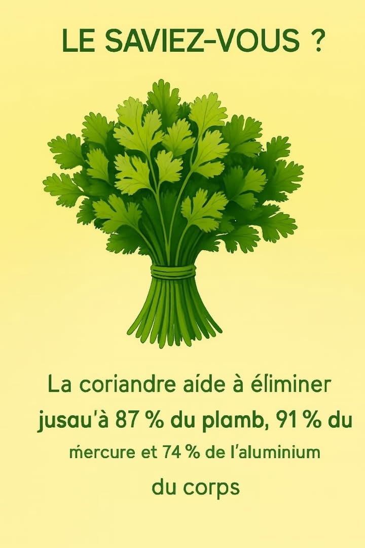 Le Pouvoir Détox de la Coriandre 
La coriandre nest pas seulement une herbe aromatique savoureuse, cest un allié naturel pour purifier ton corps. Ses composés actifs aident à éliminer les métaux lourds tels que le plomb, le mercure et laluminium, soutenant ainsi le foie et redonnant énergie et clarté mentale. 
綾 Utilisation simple
1 Ajoute des feuilles fraîches de coriandre dans tes smoothies, tes soupes ou tes salades.
2 Consomme-la régulièrement pour renforcer la vitalité et soutenir lélimination naturelle des toxines.
3 Combine-la avec du citron ou de lail pour un effet encore plus puissant. 龍
Ton corps te remerciera pour cette petite touche verte quotidienne. 
#santenaturelle #detox