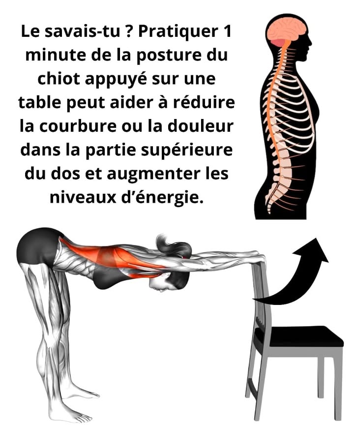 律 Posture du chiot soutenue 律
Pratiquée chaque jour pendant seulement une minute, cette posture douce aide à détendre le haut du corps et à apaiser lesprit. Elle est idéale après une longue journée ou avant le coucher pour relâcher les tensions accumulées.
1 Réduit la courbure et soulage les douleurs dans la partie supérieure du dos 留
2 Libère les tensions dans les épaules et la nuque, apportant une sensation immédiate de légèreté 
3 Améliore la posture et favorise la souplesse naturelle de la colonne vertébrale 
4 Stimule la respiration, augmente lénergie et favorise une meilleure oxygénation du corps 
 Un étirement simple, accessible à tous, qui équilibre le corps et calme lesprit.
#bienetre #yogafrance