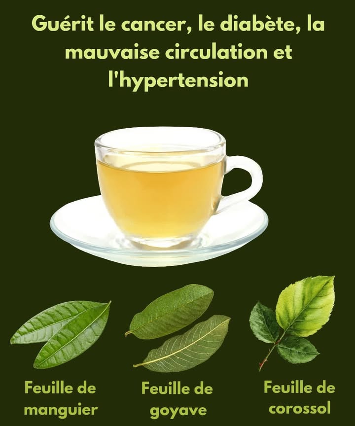 Infusion Naturelle pour le Bien-Être 
Un mélange simple et réconfortant préparé avec des feuilles reconnues dans la médecine traditionnelle. Une boisson chaude à savourer pour soutenir naturellement le corps au quotidien.
Ingrédients
Feuilles de manguier 
Feuilles de goyave 
Feuilles de corossol 
Feuilles supplémentaires au choix selon lusage 
Étapes
1 Fais bouillir de leau fraîche.
2 Ajoute une poignée des feuilles choisies.
3 Laisse infuser 10 à 15 minutes.
4 Filtre la préparation avant de boire.
5 Savoure chaude, de préférence le matin ou le soir.
Une routine douce qui accompagne le corps et apporte une sensation de légèreté et de vitalité.
#bienetrenaturel  #RemèdeMaison