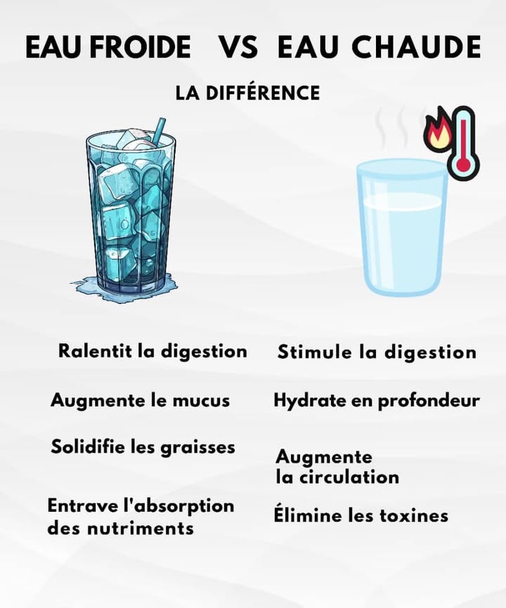 Eau froide VS Eau chaude 
1 Eau froide 
 Ralentit la digestion et peut donner une sensation de lourdeur 
 Augmente la production de mucus, ce qui gêne parfois la respiration 蠟
 Solidifie les graisses et ralentit leur élimination 杻
 Entrave labsorption des nutriments essentiels 
2 Eau chaude 
 Stimule la digestion et soulage lestomac après les repas 
 Hydrate en profondeur et garde le corps équilibré 
 Augmente la circulation sanguine et apporte plus dénergie 
 Aide à éliminer les toxines et soutient le bon fonctionnement des reins 
#fblifestyle