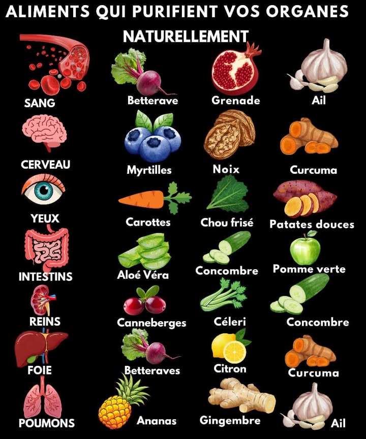 Aliments qui purifient vos organes naturellement 
1 Sang :
La betterave est un excellent purifiant du sang grâce à ses antioxydants. Ajoutez-la à vos salades pour un boost de vitalité. 
La grenade est riche en flavonoïdes et aide à purifier votre sang. Buvez son jus pour des résultats rapides. 
Lail, reconnu pour ses propriétés antibactériennes et anti-inflammatoires, détoxifie naturellement votre organisme. 龍
2 Cerveau :
Les myrtilles sont riches en antioxydants, ce qui améliore la circulation sanguine et soutient la santé du cerveau. 𢡄
Les noix contiennent des acides gras sains qui favorisent la mémoire et la concentration. 
Le curcuma aide à réduire linflammation et protège les cellules cérébrales. 
3 Yeux :
Les carottes sont riches en bêta-carotène, essentiel pour la santé oculaire. Ajoutez-les à vos plats pour une meilleure vision. 凌
Le chou frisé regorge de vitamine A, bénéfique pour maintenir vos yeux en bonne santé. 塞
Les patates douces sont également riches en bêta-carotène et soutiennent la santé de vos yeux. 
4 Intestins :
Laloe vera est parfait pour apaiser et hydrater le système digestif. 
Le concombre, avec son contenu élevé en eau, hydrate et soutient la digestion. 勒
La pomme verte est légère et aide à la détoxification du système digestif. 
5 Reins :
Les canneberges sont bien connues pour leur capacité à prévenir les infections urinaires et à purifier les reins. 
Le céleri est excellent pour éliminer les toxines et améliorer la fonction rénale. 
Le concombre est aussi un diurétique naturel, parfait pour les reins. 勒
6 Foie :
Les betteraves stimulent le foie et laident à éliminer les toxines. 凜
Le citron favorise la détoxification du foie grâce à sa richesse en vitamine C et en antioxydants. 
Le curcuma, de par ses propriétés anti-inflammatoires, soutient la fonction hépatique. 
7 Poumons :
Lananas est riche en broméline, qui aide à réduire les inflammations et à purifier les poumons. 
Le gingembre est un excellent anti-inflammatoire et soutient les voies respiratoires. 
Lail, encore une fois, se distingue par ses vertus détoxifiantes et soutient la santé pulmonaire. 龍
#fblifestyle #detox