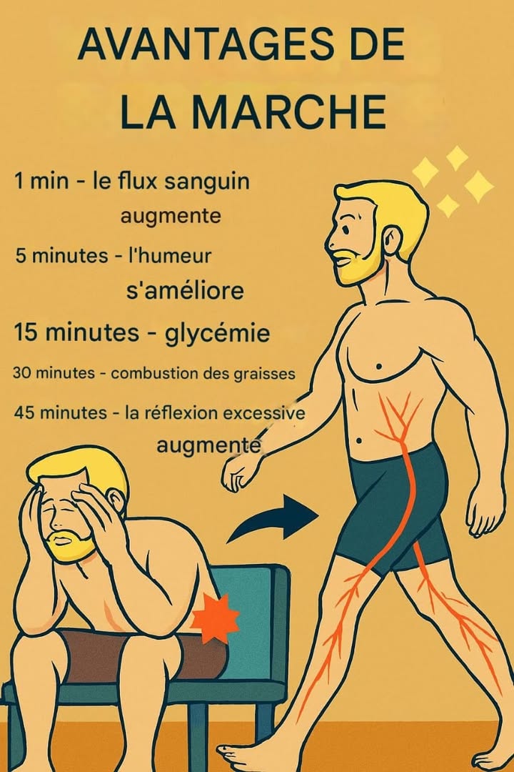 Les Bienfaits de la Marche Quotidienne 
1 1 minute  Active la circulation sanguine 
2 5 minutes  Améliore ton humeur 
3 10 minutes  Réduit le cortisol hormone du stress 
4 15 minutes  Stabilise la glycémie 
5 30 minutes  Commence à brûler les graisses 
6 45 minutes  Réduit la fatigue mentale et les pensées excessives 易
7 60 minutes  Augmente la production de dopamine, lhormone du bonheur 殺
La marche est une habitude simple, naturelle et accessible qui soutient le corps et lesprit. Commence petit aujourdhui et profite immédiatement de ses bienfaits ! 
#sante #bienetre