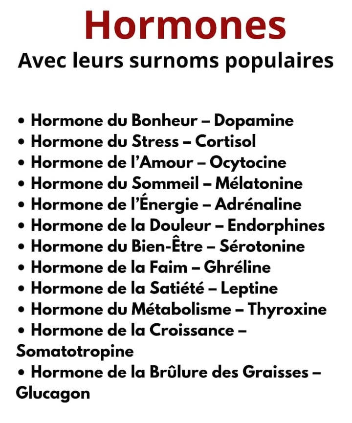 Les hormones et leurs surnoms naturels 
1 Hormone du bonheur  Dopamine 
2 Hormone du stress  Cortisol 
3 Hormone de lamour  Ocytocine 
4 Hormone du sommeil  Mélatonine 
5 Hormone de lénergie  Adrénaline 
6 Hormone du soulagement de la douleur  Endorphines 
7 Hormone du bien-être  Sérotonine 
8 Hormone de la faim  Ghréline 
9 Hormone de la satiété  Leptine 綾
 Hormone du métabolisme  Thyroxine 
11 Hormone de croissance  Somatotropine 戮
12 Hormone de la croissance osseuse  Calcitonine 
13 Hormone brûle-graisse  Glucagon 
14 Régulatrice du sucre dans le sang  Insuline 
15 Hormone de léquilibre hydrique  ADH 
16 Hormone de léquilibre du calcium  PTH 領
#santenaturelle #VieÉquilibrée
