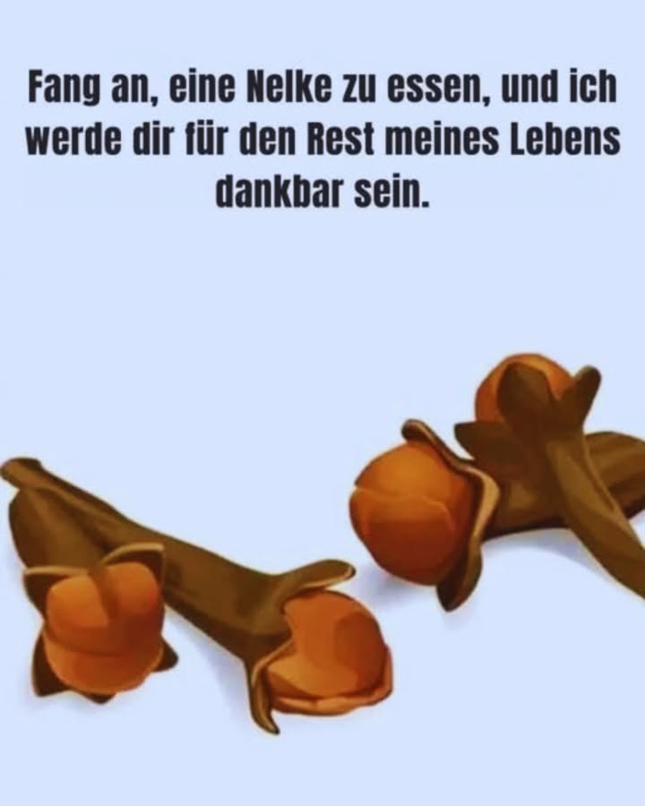 Entdecken Sie die Kraft der Nelken

Nelken sind kleine Wunder der Natur, die Ihnen auf sanfte Weise im Alltag guttun können. Lassen Sie sich von ihren vielseitigen Vorteilen begeistern und integrieren Sie sie einfach in Ihre Gesundheitspflege.

 Sie fördern Ihre Durchblutung und unterstützen ein gesundes Herz-Kreislauf-System.  
 Eine Massage mit Nelkenöl kann müde Füße wohltuend entspannen.  
 Dank ihrer entzündungshemmenden Wirkung helfen Nelken, Schwellungen zu reduzieren und die Heilung von Wunden zu fördern.  
 Als Tee lindern Nelken Erkältungsbeschwerden wie Halsschmerzen, Fieber und allgemeine Schmerzen.  
籠 Sie sind leicht in Ihre täglichen Mahlzeiten integrierbar  zum Beispiel durch 2 Nelken in Ihrem Essen oder als Getränk mit Zitrone und Honig.  
 Nelken schenken Ihnen ein natürliches Wohlgefühl, sei es als Gewürz oder in Teeform.

Gönnen Sie sich die sanfte Kraft der Nelken und spüren Sie, wie sie Ihr Wohlbefinden auf natürliche Weise bereichern.