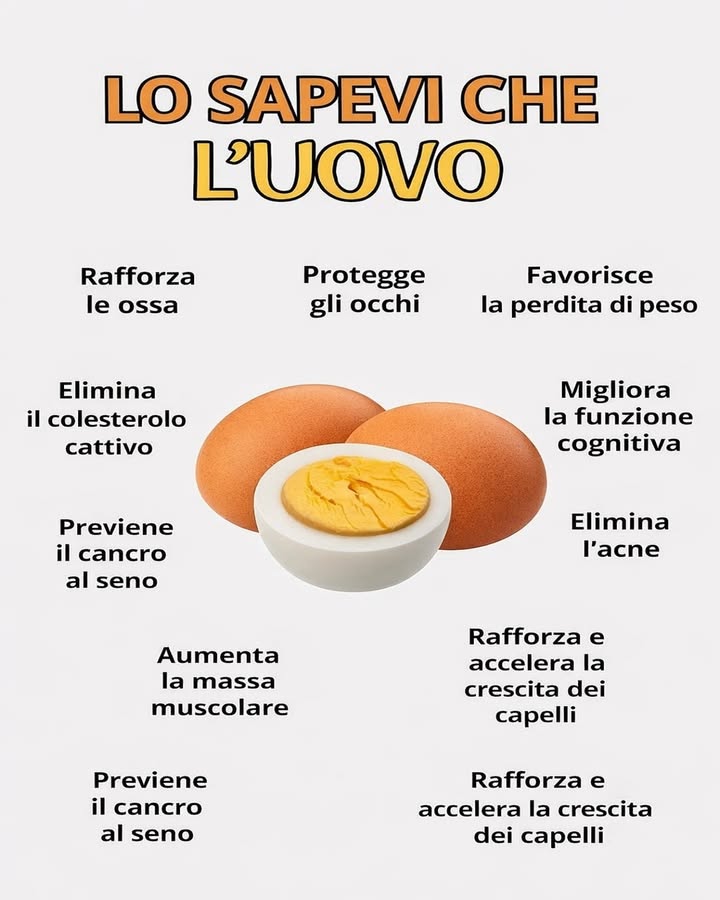 讀 I benefici nutrizionali delluovo 
Luovo è un alimento completo e versatile, apprezzato per il suo profilo nutrizionale equilibrato. Inserito in una dieta varia, contribuisce al benessere generale dellorganismo.
領 Supporto per ossa e muscoli
Grazie alle proteine di alta qualità e a micronutrienti essenziali, luovo aiuta a mantenere ossa forti e a sostenere la massa muscolare.
 Sostegno alla salute degli occhi
Contiene luteina e zeaxantina, nutrienti utili per proteggere la vista dallo stress ossidativo.
易 Funzione cognitiva
La colina presente nelluovo contribuisce al normale funzionamento del cervello e dei processi cognitivi.
 Equilibrio nutrizionale
Le proteine favoriscono il senso di sazietà e aiutano a mantenere un apporto energetico più stabile.
 Colesterolo ed equilibrio metabolico
Se consumato con moderazione, luovo può far parte di unalimentazione equilibrata e consapevole.
 Capelli e tessuti
Vitamine del gruppo B e proteine contribuiscono al mantenimento di capelli e tessuti sani.
Luovo rappresenta una scelta nutriente e accessibile, ideale da integrare con equilibrio allinterno di uno stile di vita sano e di unalimentazione varia.