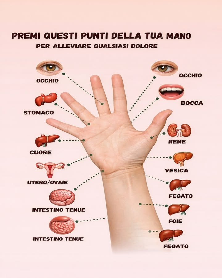 Punti della Mano & Sollievo Naturale 
La riflessologia della mano è una pratica tradizionale che si basa sulla stimolazione di punti specifici collegati a diverse aree del corpo. Un gesto semplice e delicato che favorisce rilassamento e benessere generale.
 Occhio
La pressione di questo punto è tradizionalmente associata al rilassamento della zona oculare e alla riduzione della tensione accumulata.
 Bocca
Stimolare questarea è collegato, nella riflessologia, al riequilibrio delle tensioni facciali.
 Stomaco
Questo punto viene utilizzato per favorire una sensazione di comfort digestivo e distensione addominale.
 Cuore
La stimolazione è associata al rilassamento emotivo e a una sensazione di calma profonda.
 Rene
Nella pratica riflessologica, questo punto è collegato allequilibrio interno e alla vitalità generale.
 Vescica
La pressione delicata è tradizionalmente legata al rilascio delle tensioni nella zona pelvica.
喝 Fegato
Associato al riequilibrio energetico e a una sensazione di leggerezza generale.
易 Intestino tenue
Questo punto è utilizzato per favorire il rilassamento e larmonia dellarea addominale.
La stimolazione dei punti della mano rappresenta un approccio naturale e non invasivo al benessere quotidiano. Con movimenti lenti e consapevoli, accompagna il corpo verso una sensazione di equilibrio, rilassamento e ascolto di sé.