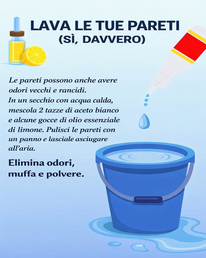 什 Lava le pareti, davvero
Anche le pareti trattengono odori, polvere e umidità nel tempo. Una pulizia delicata e mirata aiuta a rinfrescare lambiente e migliorare la qualità dellaria in casa.
画 Acqua calda come base
Lacqua calda aiuta a sciogliere lo sporco leggero e prepara la superficie alla pulizia, senza aggredire le pareti.
 Aceto bianco per neutralizzare gli odori
Aggiungere due tazze di aceto bianco contribuisce a eliminare odori vecchi e persistenti, lasciando le pareti più fresche.
 Olio essenziale di limone
Qualche goccia dona un profumo pulito e naturale, con unazione rinfrescante e piacevole nellambiente.
識 Panno morbido e asciugatura naturale
Pulire con un panno ben strizzato e lasciare asciugare allaria permette di ottenere un risultato uniforme senza aloni.
 Questa semplice abitudine aiuta a ridurre odori, polvere e tracce di muffa. Una cura spesso dimenticata che rende la casa più fresca, luminosa e accogliente.