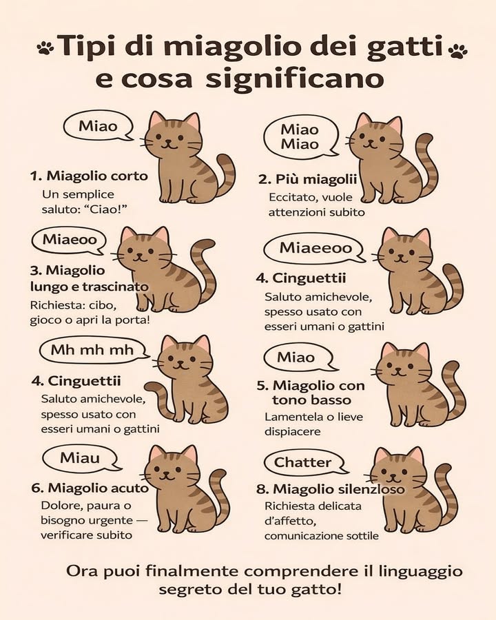 Tipi di miagolio dei gatti e cosa significano 
Il miagolio è uno dei modi principali con cui i gatti comunicano con noi. Può essere breve, insistente, acuto o quasi silenzioso, e ogni suono racconta qualcosa di diverso sul loro stato danimo o sui loro bisogni.
Un miagolio corto può essere un semplice saluto, mentre uno più lungo e trascinato spesso indica una richiesta precisa, come cibo, gioco o attenzione. I cinguettii sono segnali amichevoli e affettuosi, usati soprattutto con persone di fiducia. I toni bassi possono esprimere un lieve disagio, mentre quelli acuti vanno sempre ascoltati con attenzione.
Imparare a riconoscere questi suoni aiuta a capire meglio il proprio gatto e a rafforzare il legame con lui.