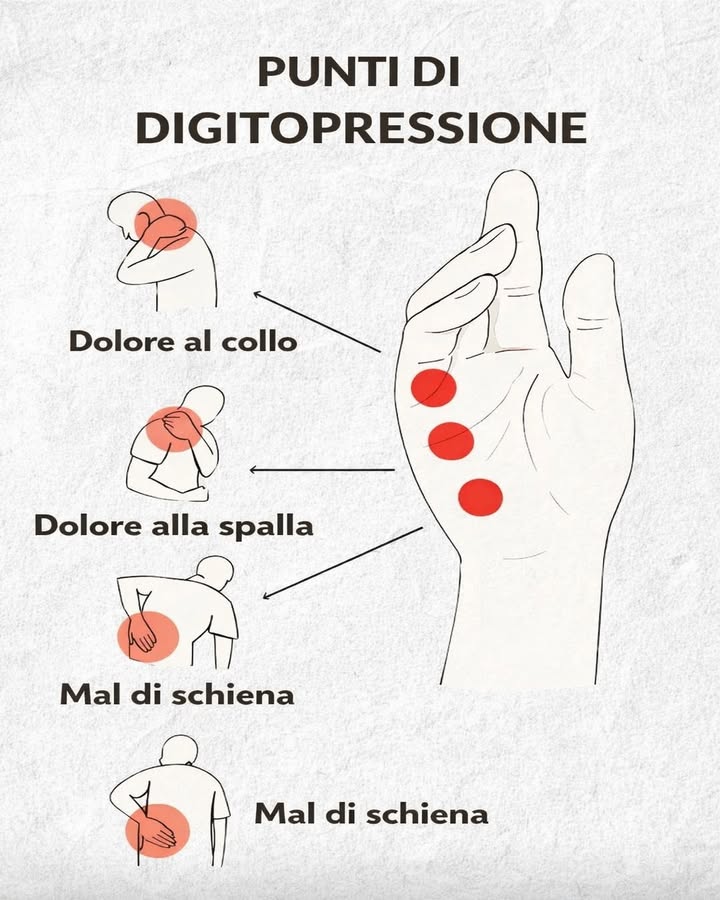 爐 Digitopressione e benessere corporeo 爐
La digitopressione è una pratica tradizionale che si basa sulla stimolazione di punti specifici del corpo, in particolare delle mani, per favorire il rilassamento e il sollievo da tensioni quotidiane.
Alcuni punti della mano sono comunemente associati a:
 Dolore al collo
 Dolore alla spalla
 Mal di schiena, soprattutto nella zona lombare
Questa tecnica, semplice e naturale, fa parte di antiche tradizioni orientali e viene utilizzata come supporto per ritrovare equilibrio e distensione muscolare nella vita di tutti i giorni.