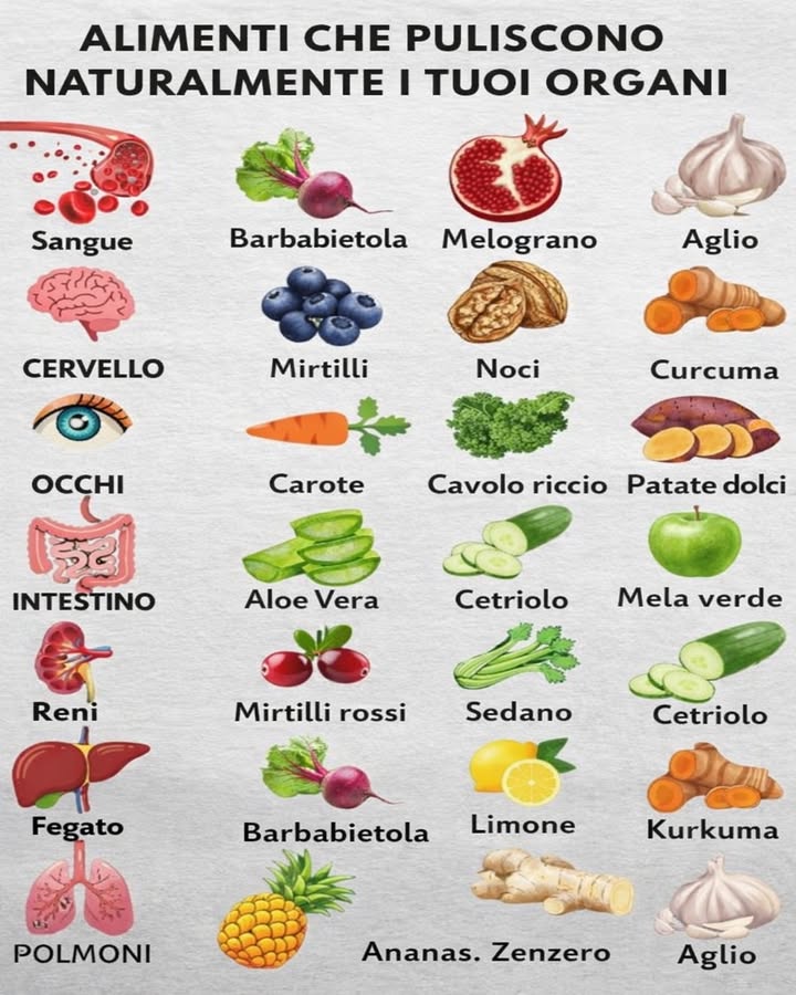 Alimenti che sostengono la pulizia naturale del corpo 律
Il nostro organismo è progettato per depurarsi in modo naturale, soprattutto se supportato da una corretta alimentazione. Alcuni alimenti, scelti con equilibrio, aiutano i diversi organi a svolgere al meglio le loro funzioni quotidiane.
喝 Sangue
Barbabietola, melograno e aglio apportano antiossidanti e composti vegetali utili al normale equilibrio del sistema circolatorio.
易 Cervello
Mirtilli, noci e curcuma contribuiscono alla protezione delle cellule grazie a grassi buoni e sostanze antiossidanti.
 Occhi
Carote, cavolo riccio e patate dolci forniscono beta-carotene e micronutrienti utili al benessere visivo.
裂 Intestino
Aloe vera, cetriolo e mela verde favoriscono idratazione e regolarità, sostenendo la funzionalità intestinale.
變 Reni
Mirtilli rossi, sedano e cetriolo aiutano a mantenere lequilibrio dei liquidi e il benessere delle vie urinarie.
李 Fegato
Barbabietola, limone e curcuma sono noti per il loro supporto naturale ai processi metabolici epatici.
贈 Polmoni
Ananas, zenzero e aglio contribuiscono al comfort respiratorio grazie alle loro proprietà aromatiche e nutrienti.
Integrare questi alimenti nella dieta quotidiana significa accompagnare il corpo in modo naturale e graduale, rispettando i suoi ritmi e favorendo un benessere generale più armonioso.