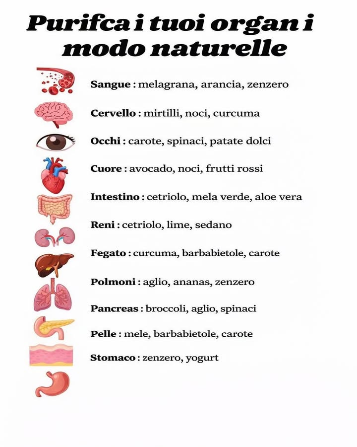 Purifica i tuoi organi in modo naturale
Unalimentazione varia e ricca di nutrienti aiuta lorganismo a funzionare in modo equilibrato ogni giorno. Alcuni alimenti, inseriti con regolarità nella dieta, possono sostenere naturalmente il benessere dei diversi organi.
喝 Sostieni il sangue
Melagrana, arancia e zenzero sono ricchi di antiossidanti e vitamina C, utili per proteggere le cellule dallo stress ossidativo.
易 Nutri il cervello
Mirtilli, noci e curcuma apportano grassi buoni e composti antinfiammatori che favoriscono concentrazione e memoria.
 Proteggi la vista
Carote, spinaci e patate dolci contengono betacarotene e luteina, nutrienti preziosi per la salute degli occhi.
 Prenditi cura del cuore
Avocado, noci e frutti rossi contribuiscono al benessere cardiovascolare grazie ai grassi insaturi e ai polifenoli.
 Supporta lintestino
Cetriolo, mela verde e aloe vera favoriscono idratazione e regolarità, aiutando lequilibrio della flora intestinale.
 Aiuta i reni
Cetriolo, lime e sedano sono ricchi di acqua e minerali, utili per sostenere lidratazione dellorganismo.
 Proteggi il fegato
Curcuma, barbabietole e carote contengono sostanze che supportano i naturali processi di detossificazione.
 Sostieni i polmoni
Aglio, ananas e zenzero apportano composti che favoriscono la risposta antiossidante e il benessere respiratorio.
 Equilibra il pancreas
Broccoli, aglio e spinaci forniscono fibre e micronutrienti utili per il metabolismo.
 Cura la pelle
Mele, barbabietole e carote aiutano a mantenere la pelle luminosa grazie a vitamine e antiossidanti.
 Proteggi lo stomaco
Zenzero e yogurt possono favorire la digestione e lequilibrio della flora gastrica.
Integrare questi alimenti in unalimentazione varia e bilanciata contribuisce al benessere generale, sostenendo in modo naturale le funzioni dellorganismo ogni giorno.