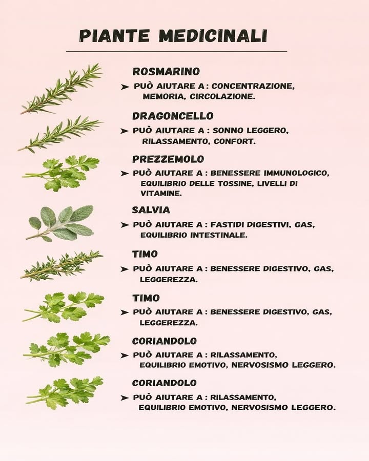 Piante medicinali e benessere naturale
Le piante aromatiche sono da sempre utilizzate per sostenere lequilibrio del corpo e della mente. Limmagine riassume alcune delle più comuni e i loro benefici tradizionalmente riconosciuti.
  Rosmarino
Conosciuto per il suo supporto a concentrazione, memoria e circolazione, è una pianta energizzante e stimolante.
  Dragoncello
Associato a rilassamento e comfort, viene apprezzato per favorire un sonno leggero e una sensazione di calma.
  Prezzemolo
Ricco di nutrienti, contribuisce al benessere immunologico, allequilibrio delle tossine e al supporto vitaminico.
  Salvia
Tradizionalmente utilizzata per alleviare fastidi digestivi, gas e favorire lequilibrio intestinale.
  Timo
Aiuta a sostenere la digestione, ridurre la sensazione di pesantezza e migliorare il comfort gastrointestinale.
  Coriandolo
Apprezzato per le sue proprietà rilassanti, favorisce lequilibrio emotivo e aiuta in caso di nervosismo leggero.
Integrare queste piante nella routine quotidiana permette di valorizzare le loro proprietà naturali, contribuendo a uno stile di vita più armonioso e consapevole.