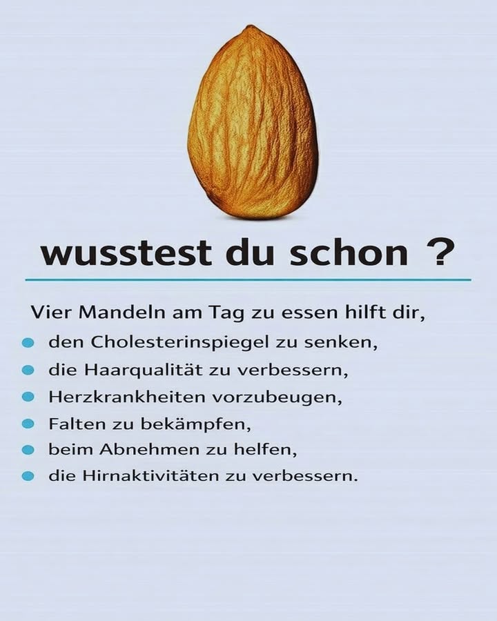 Wusstest du schon? Vier Mandeln am Tag können einen großen Unterschied machen!

Mandeln sind klein  aber voller wertvoller Nährstoffe 
Schon eine kleine Menge täglich kann positive Effekte auf deinen Körper haben.

Hier ist, warum sich vier Mandeln am Tag lohnen können 

 Cholesterinspiegel unterstützen
Mandeln enthalten gesunde ungesättigte Fettsäuren, die helfen können, den schlechten LDL-Cholesterinspiegel zu senken.

 Bessere Haarqualität
Dank Vitamin E, Biotin und gesunden Fetten können Mandeln zu kräftigerem, glänzenderem Haar beitragen.

 Herzgesundheit fördern
Die enthaltenen Antioxidantien und gesunden Fette unterstützen das Herz-Kreislauf-System.

 Haut & Falten
Vitamin E wirkt antioxidativ und schützt die Hautzellen vor freien Radikalen  das kann die Haut länger frisch aussehen lassen.

 Beim Abnehmen helfen
Mandeln sättigen gut und können Heißhunger reduzieren  wichtig ist natürlich die richtige Menge.

易 Gehirnaktivität unterstützen
Nährstoffe wie Vitamin E und gesunde Fette sind wichtig für Konzentration und geistige Leistungsfähigkeit.

 Wichtig:
Mandeln sind gesund  aber auch kalorienreich. Eine kleine Portion reicht völlig aus. Und bei Allergien bitte unbedingt vermeiden.