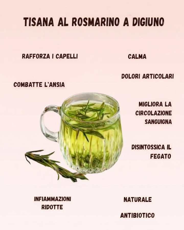 Tisana al Rosmarino a Digiuno 
La tisana al rosmarino è una bevanda naturale apprezzata nella tradizione per il suo profilo aromatico e riequilibrante. Consumata al mattino, accompagna delicatamente il benessere quotidiano.
 Rafforza i capelli
Il rosmarino è tradizionalmente utilizzato per sostenere la vitalità del cuoio capelluto e contribuire a capelli dallaspetto più forte e sano.
律 Effetto calmante
Il suo profumo naturale favorisce una sensazione di rilassamento e aiuta a ritrovare equilibrio mentale.
領 Supporto ai dolori articolari
Nella tradizione erboristica è apprezzato per il suo utilizzo a sostegno del comfort articolare.
喝 Migliora la circolazione
Contribuisce a stimolare la circolazione sanguigna, favorendo una piacevole sensazione di calore e leggerezza.
 Sostegno al fegato
Utilizzato da sempre per accompagnare i naturali processi di depurazione dellorganismo.
 Riduzione delle infiammazioni
I suoi composti aromatici sono legati a unazione riequilibrante generale.
 Azione naturale purificante
Il rosmarino è noto nella tradizione per le sue proprietà protettive e purificanti.
La tisana al rosmarino rappresenta un gesto semplice di cura quotidiana. Inserita con costanza in uno stile di vita equilibrato, contribuisce a una sensazione di benessere naturale, armonia e vitalità.
