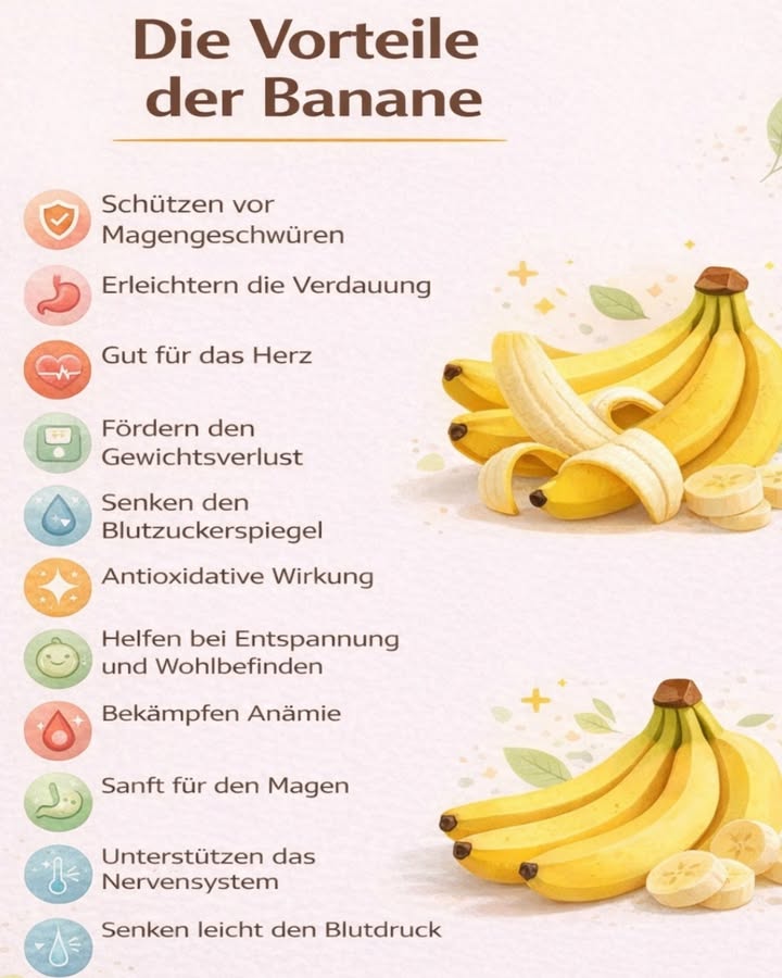 Die erstaunlichen Vorteile der Banane für deine Gesundheit

Bananen gehören zu den beliebtesten Früchten der Welt  und das aus gutem Grund. Sie sind nicht nur lecker und praktisch für unterwegs, sondern auch voller wichtiger Nährstoffe, die deinem Körper jeden Tag helfen können.

Hier sind einige der wichtigsten Vorteile von Bananen:

 Unterstützen die Verdauung
Bananen enthalten Ballaststoffe, die helfen können, die Verdauung zu regulieren und den Darm gesund zu halten.

 Gut für das Herz
Dank ihres hohen Kaliumgehalts können Bananen dazu beitragen, den Blutdruck zu regulieren und die Herzgesundheit zu unterstützen.

 Sanft für den Magen
Bananen sind leicht verdaulich und werden oft empfohlen, wenn der Magen empfindlich ist oder sich beruhigen muss.

 Unterstützen das Nervensystem
Sie enthalten Vitamin B6 und Magnesium, die eine wichtige Rolle für das Nervensystem spielen.

 Natürliche Energiequelle
Durch ihre natürlichen Zucker liefern Bananen schnelle Energie  perfekt vor dem Sport oder als gesunder Snack zwischendurch.

 Antioxidative Wirkung
Bananen enthalten Antioxidantien, die helfen können, den Körper vor freien Radikalen zu schützen.

 Fördern das allgemeine Wohlbefinden
Der Verzehr von Bananen kann helfen, die Stimmung zu verbessern und das Wohlbefinden zu steigern.
