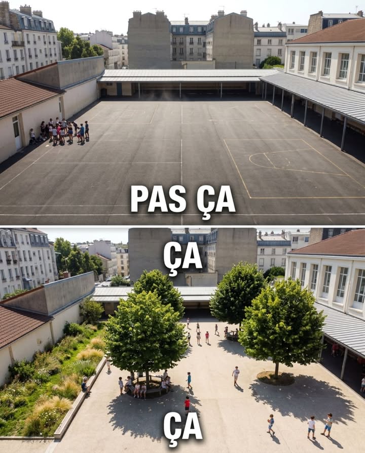 La cour décole, cest un désert de goudron gris sans un seul endroit frais. Pas une ombre, pas un brin de verdure, pas un centimètre perméable  juste des centaines de mètres carrés de bitume qui dépassent 55C au sol en juin et transforment chaque récréation dété en épreuve thermique pour des enfants qui courent à hauteur de ce radiateur.

Le programme Cours Oasis  lancé à Paris en 2018 et étendu à Lyon, Bordeaux, Nantes, Rennes, Strasbourg et Lille  remplace le bitume par des sols perméables, des arbres dombrage et des noues végétalisées. Résultat mesuré : 3 à 5C de moins à hauteur denfant pendant les canicules.

Un arbre planté dans une cour décole produit une ombre réelle en sept ans. Sur 40 ans, son coût dentretien est inférieur à deux réfections de bitume  et il produit ce que le goudron ne produira jamais : un espace jouable en juin, une récréation sans raccourcir, un sol que la pluie traverse au lieu de ruisseler vers les caniveaux.

La cour goudronnée coûte 40 à 60 euros le mètre carré à chaque réfection. La même cour avec 30 % de surface végétalisée  arbres, dalles drainantes, bandes enherbées  coûte 50 à 80 euros le mètre carré une seule fois pour trente ans de service.

La cour noire, cest un radiateur public qui cuit les enfants, ruisselle et dure quinze ans. La même cour avec des arbres, cest un espace vivable qui refroidit, infiltre et dure une génération.

#CoursOasis #DésimperméabilisationUrbaine #ÉcoleEnVille #ÎlotDeChaleur #VilleVivable