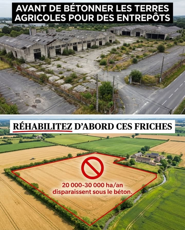 Avant de construire de nouveaux entrepôts sur des terres agricoles, réhabilitez dabord ces friches.

La France compte entre 90 000 et 150 000 hectares de friches industrielles répertoriées  usines désaffectées, raffineries fermées, anciennes casernes militaires, sites miniers abandonnés, dépôts ferroviaires inutilisés. Des hectares entiers de béton, de hangars vides et de terre déjà polluée, déjà viabilisés, déjà raccordés aux routes, à lélectricité, à leau et aux réseaux numériques. Tout est en place. Personne ne sen sert.

Pendant ce temps, chaque année en France, entre 20 000 et 30 000 hectares de terres agricoles, naturelles ou forestières disparaissent sous le béton des nouveaux projets  zones logistiques, entrepôts de e-commerce, plateformes de distribution, data centers. Ces projets sinstallent en périphérie des villes, sur des champs plats et faciles à aménager, parce que construire sur une terre agricole vierge coûte moins cher et va plus vite que dépolluer et restructurer une friche existante. Le sol fertile est sacrifié pour une question de calendrier et de marge.

La friche industrielle est techniquement plus complexe. Il faut diagnostiquer la pollution, parfois dépolluer, adapter les fondations, démolir avant de reconstruire. Le surcoût est réel  15 à 40 % de plus quun terrain vierge selon la complexité du site. Mais ce surcoût ne tient pas compte de ce que la terre agricole détruite fournissait gratuitement : infiltration de leau de pluie, stockage de carbone, production alimentaire, régulation thermique, habitat pour la faune. Aucune de ces fonctions ne figure dans le bilan comptable du promoteur  elles figurent sur la facture collective, dix ou vingt ans plus tard, quand les inondations augmentent, que les nappes baissent et que les circuits courts manquent de terres proches des villes.

Loutil réglementaire existe. Lobjectif national de zéro artificialisation nette ZAN, inscrit dans la loi Climat et Résilience, impose de diviser par deux le rythme dartificialisation dici 2031 et datteindre zéro artificialisation nette en 2050. En théorie, chaque hectare nouvellement artificialisé doit être compensé par un hectare renaturé. En pratique, la renaturation coûte cher, prend des années et ne restaure jamais complètement les fonctions dun sol qui a mis des millénaires à se former. Éviter lartificialisation en réutilisant les friches est plus efficace et moins coûteux que compenser après coup.

Certaines collectivités ont compris. LÉtablissement Public Foncier EPF dÎle-de-France a recyclé plusieurs centaines dhectares de friches en logements, en activités économiques et en espaces verts depuis sa création. À Saint-Étienne, Lille, Dunkerque, Marseille, des anciennes usines deviennent des quartiers mixtes avec logements, commerces, jardins partagés et activités artisanales. Ces projets prennent plus de temps  mais ils produisent des quartiers vivants au lieu de hangars en périphérie entourés de parkings vides.

Le calcul nest pas compliqué. Chaque friche réhabilitée est un champ épargné. Chaque champ épargné continue de stocker du carbone, de filtrer leau, de produire de la nourriture et dabriter la faune. Le sol agricole met entre 500 et 1 000 ans à se former sur un centimètre dépaisseur. Le béton met trois jours à le recouvrir. Lun des deux est irremplaçable.

Nous navons pas à choisir entre développement économique et terres nourricières. Il suffit de construire là où cest déjà construit.

#FrichesIndustrielles #ZéroArtificialisation #ZAN #TerresAgricoles #AménagementDurable
