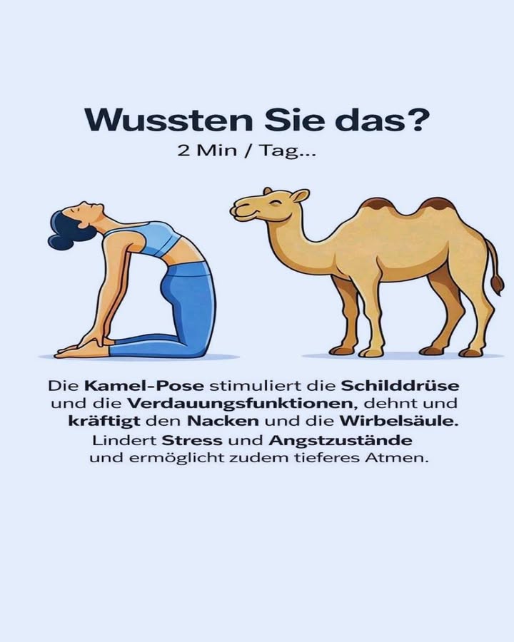 律 Wusstest du das? Nur 2 Minuten pro Tag können viel bewirken!

Die Kamel-Pose Ustrasana ist eine einfache Yoga-Übung 
und trotzdem hat sie erstaunliche Vorteile für Körper und Geist 

 Was bewirkt die Kamel-Pose?
 Stimuliert die Schilddrüse
 Unterstützt die Verdauung
 Dehnt und stärkt Nacken und Wirbelsäule
 Lindert Stress und Angstzustände
 Ermöglicht tieferes, bewussteres Atmen

 Schon 2 Minuten täglich reichen aus, um dich entspannter, beweglicher und ausgeglichener zu fühlen.

 Tipp:
Führe die Übung langsam aus und höre auf deinen Körper. Bei Nacken- oder Rückenproblemen vorher ärztlichen Rat einholen.